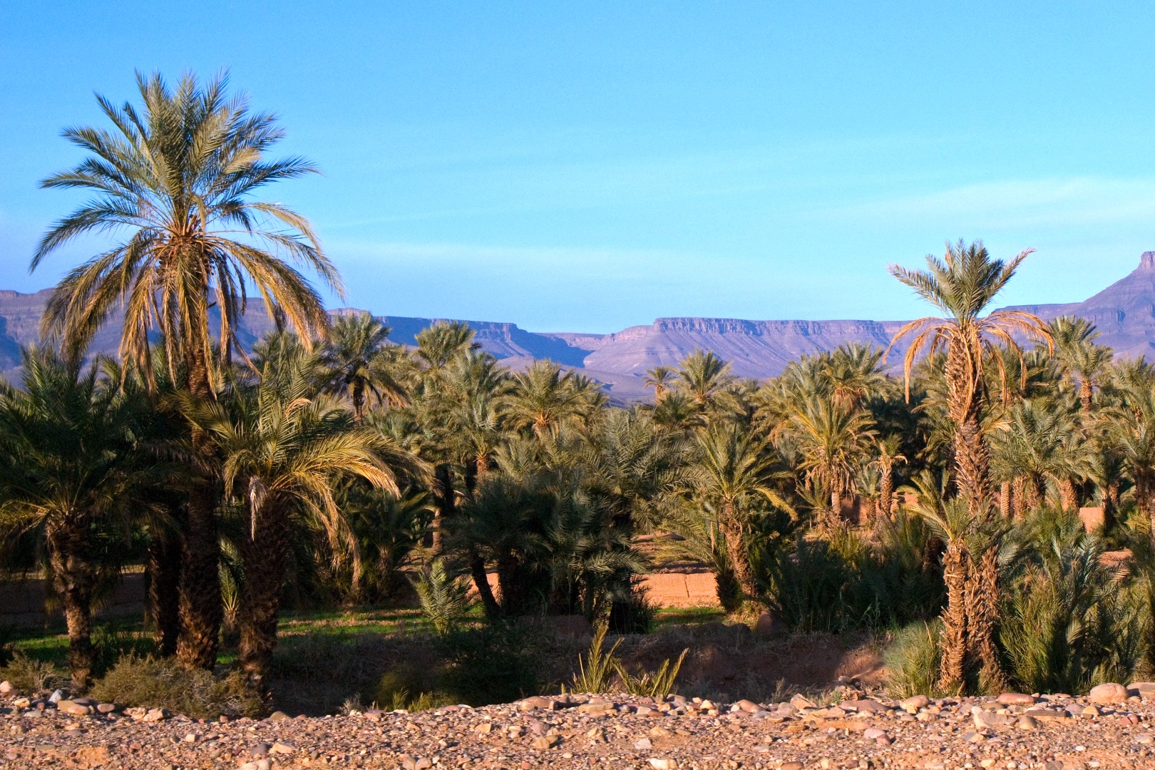 VILLEN, RIADS UND GEBÄUDE ZU VERKAUFEN IN MAROKKO, ATLAS-GEBIRGE